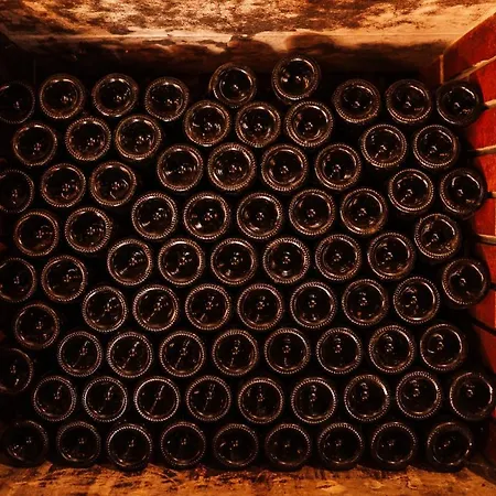 Wine Paradise Glavinic * Miklavz pri Ormozu