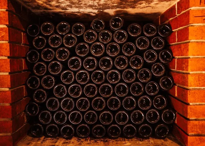 Wine Paradise Glavinic * Miklavz pri Ormozu